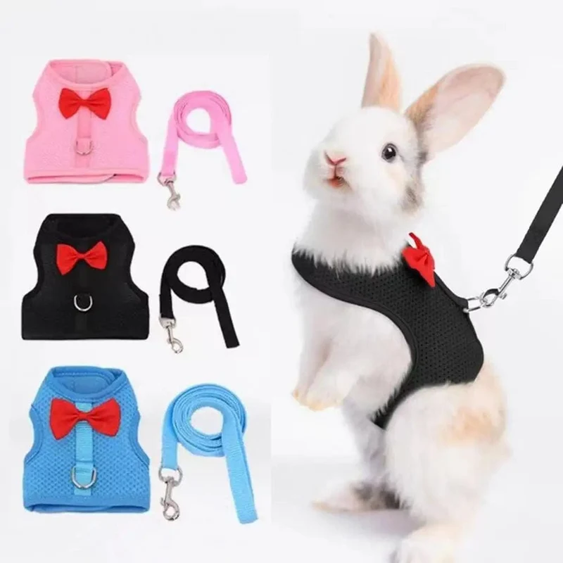 1 Set Haustier Kaninchen Geschirr Training Traktion Leine Stilvolle Bogen Dekoration Kleine Haustiere Kaninchen Traktion Geschirr für Outdoor Walking