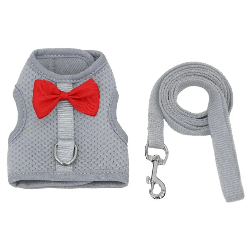 1 Set Haustier Kaninchen Geschirr Training Traktion Leine Stilvolle Bogen Dekoration Kleine Haustiere Kaninchen Traktion Geschirr für Outdoor Walking