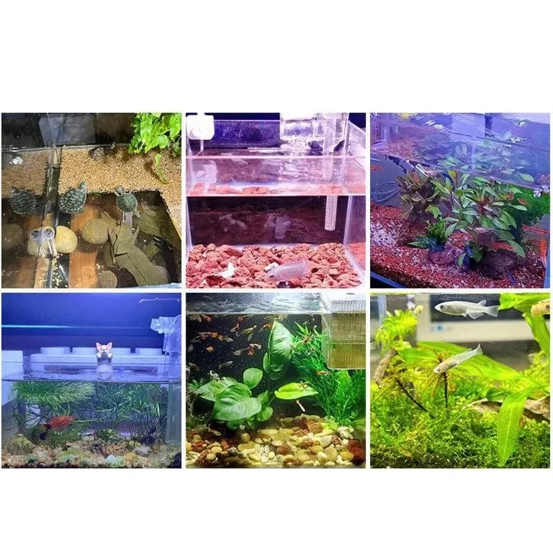 Aquarium-Fisch-LED-Licht-Clip auf kleinen Wachstumslicht-drehbaren Landschaftslampen