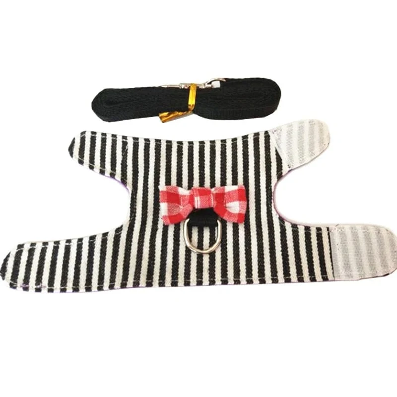 Hamster-Kaninchen-Geschirr-Leine-Set für Frettchen, Meerschweinchen, Hasen, Hamster, Welpen, Schleife, Brustgurt, Geschirr, Weste, kleine Heimtierbedarf