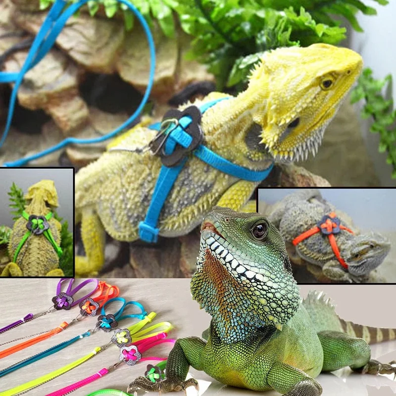 Verstellbares Reptilien-Eidechsengeschirr, Leine, Training, Gehseil, Haustierleine, Anti-Biss-Geschirr, Leine, Haustierhalsband, Brustgurt, Eidechse