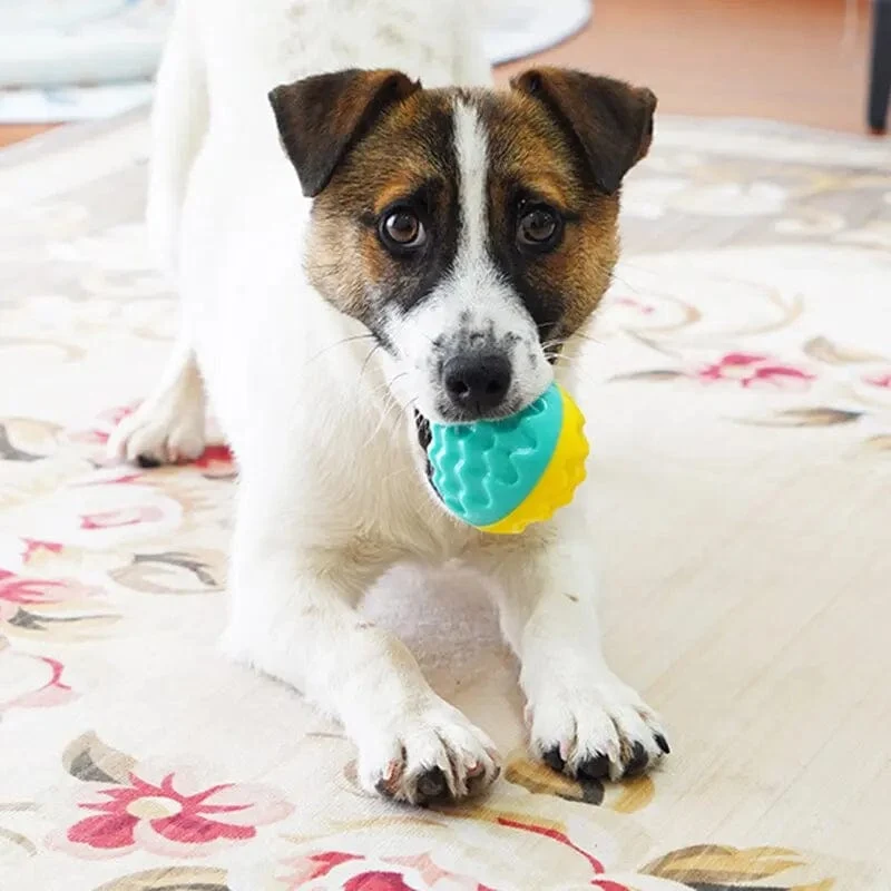 2PCS Pet Spielzeug Ball Katze Hund Kauen Schleifen Zähne Saubere Zähne Konvexen Punkt Biss Widerstand Elastische Tour Training