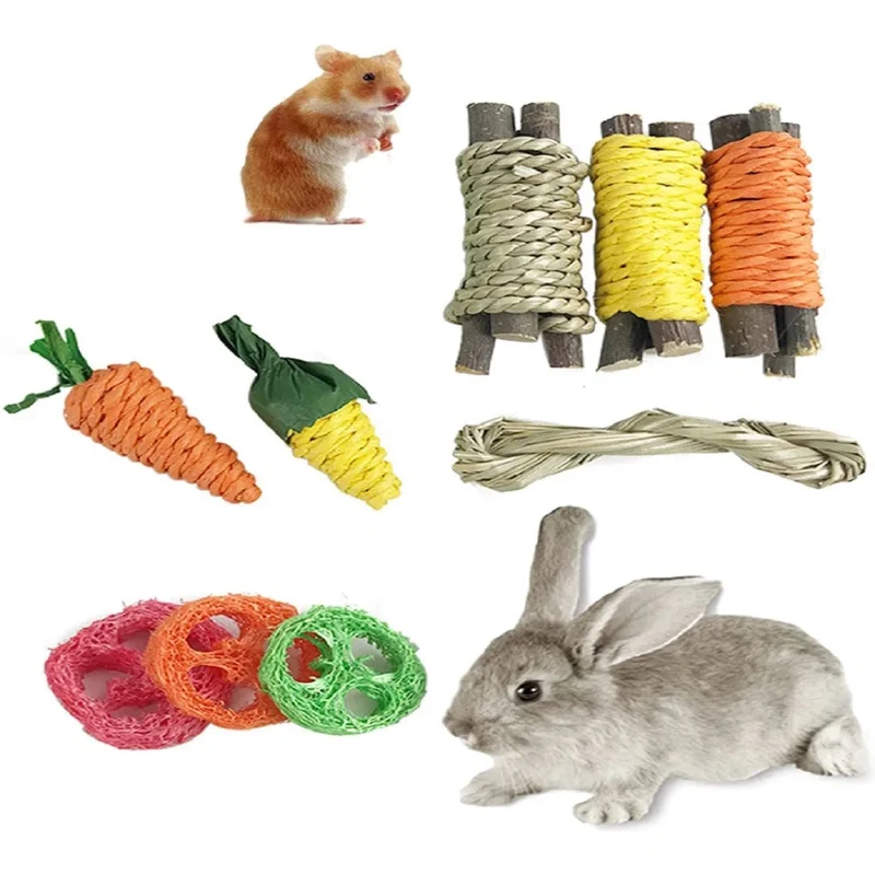 Haustier-Kaninchen, Meerschweinchen, Drache, Katze, lustiges Spielzeug, Hamster, Kaninchen, Kaninchen, Zahnschleif-Set, Haustier-Zahnschleif-Snacks