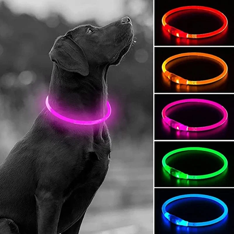 Led USB Hund Kragen Haustier Hund Nacht Leuchtende Lade Kragen Led Nacht Sicherheit Blinkende Glow Hund Verlust Prävention Kragen Haustier zubehör
