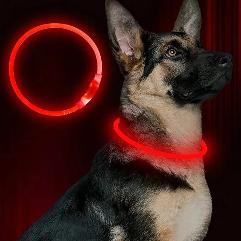 Led USB Hund Kragen Haustier Hund Nacht Leuchtende Lade Kragen Led Nacht Sicherheit Blinkende Glow Hund Verlust Prävention Kragen Haustier zubehör