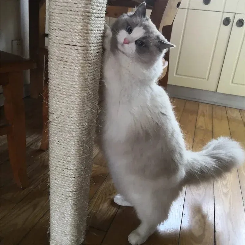 Sisal Seil Katze Baum DIY Kratzbaum Spielzeug Katze Klettergerüst Ersatz Seil Schreibtisch Beine Bindung Seil Für Katze Schärfen klaue