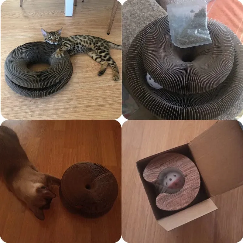 Magisches Organ, Katzenspielzeug, Katzenkratzer, Kratzbrett, rund, gewellter Kratzbaum, Spielzeug für Katzen, Schleifklaue, Katzenzubehör