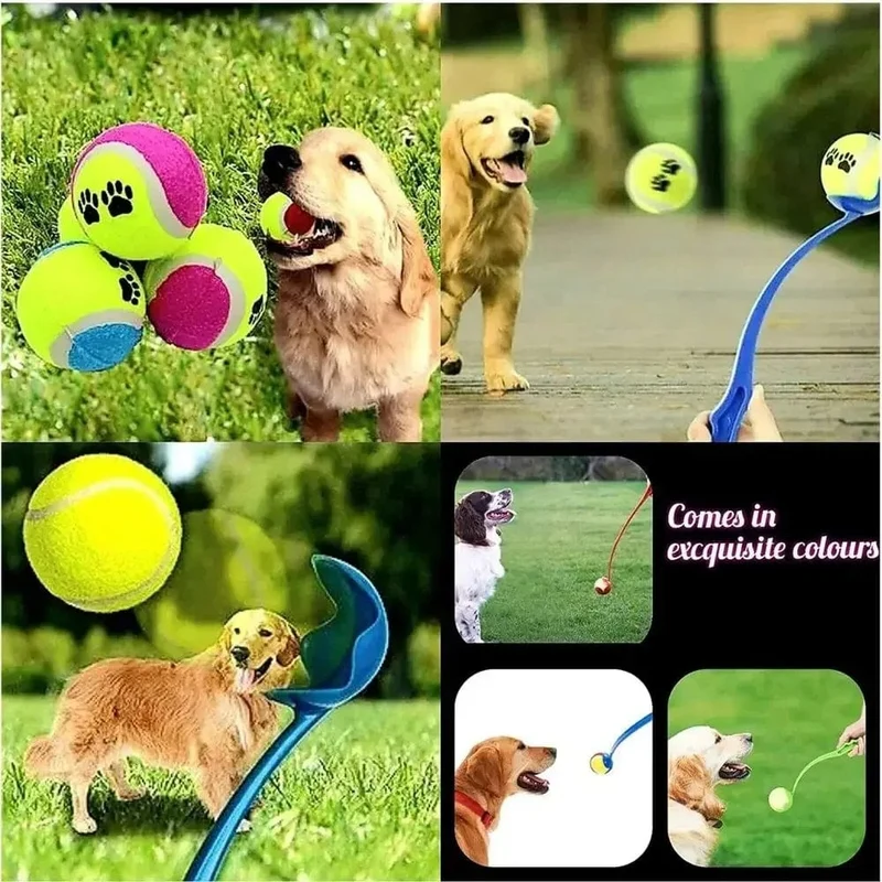Pet Werfen Stick Hund Hand Werfen Ball Spielzeug Pet Tennis Launcher Pole Outdoor Aktivitäten Hunde Training Spielzeug Pet Liefert