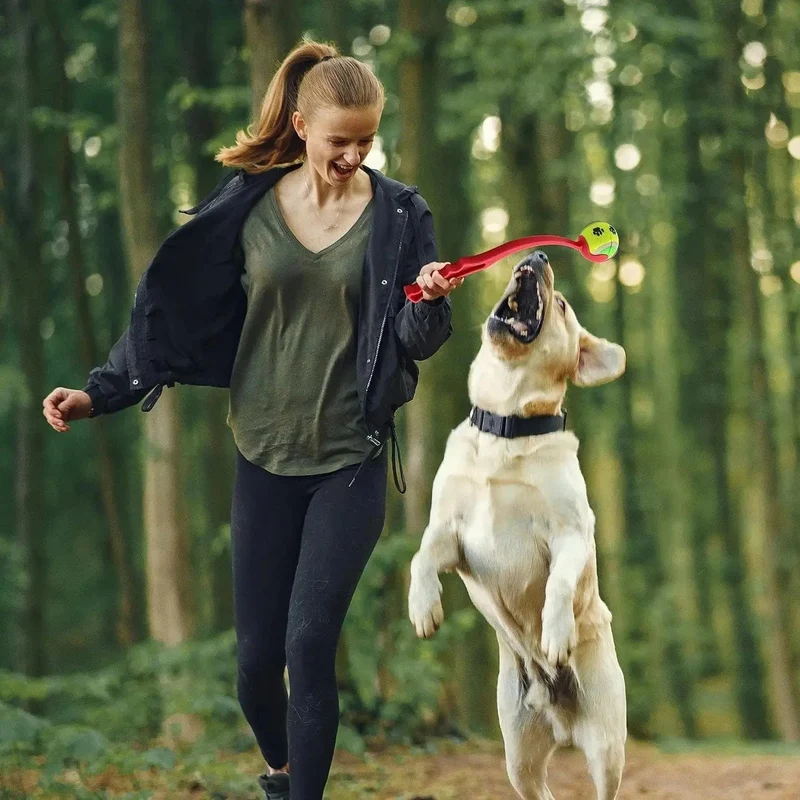 Pet Werfen Stick Hund Hand Werfen Ball Spielzeug Pet Tennis Launcher Pole Outdoor Aktivitäten Hunde Training Spielzeug Pet Liefert