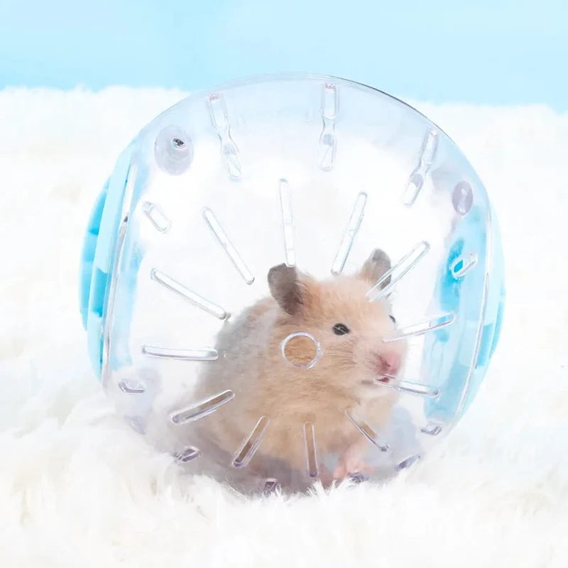 Kunststoff Outdoor Sport Ball Grounder Ratte Kleine Haustiermäuse Joggingball Spielzeug Hamster Gerbil Gymnastikball Spielspielzeug Kleintierbedarf