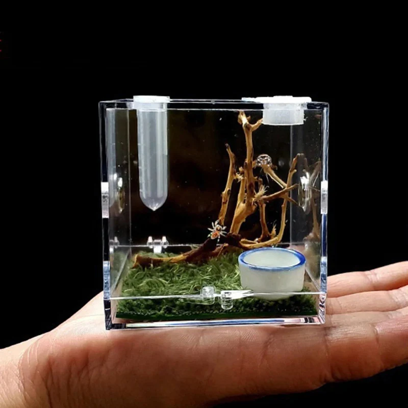 Kleine Reptilienzuchtbox, transparenter Acrylkäfig, Lebensraum, Insektenfutterbox, Terrarium, Tank, ausbruchsicher, für springende Spinne