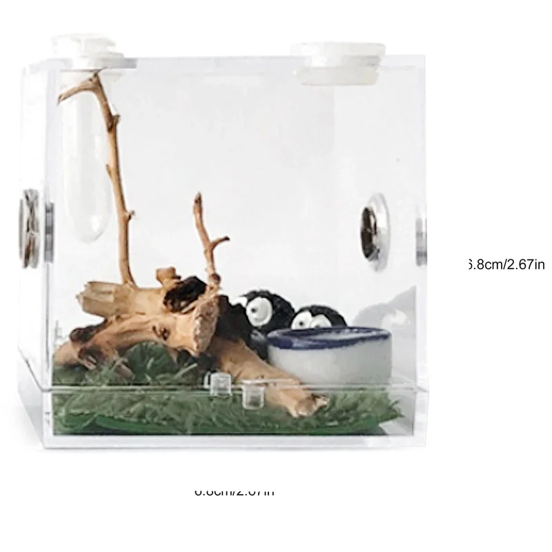 Kleine Reptilienzuchtbox, transparenter Acrylkäfig, Lebensraum, Insektenfutterbox, Terrarium, Tank, ausbruchsicher, für springende Spinne