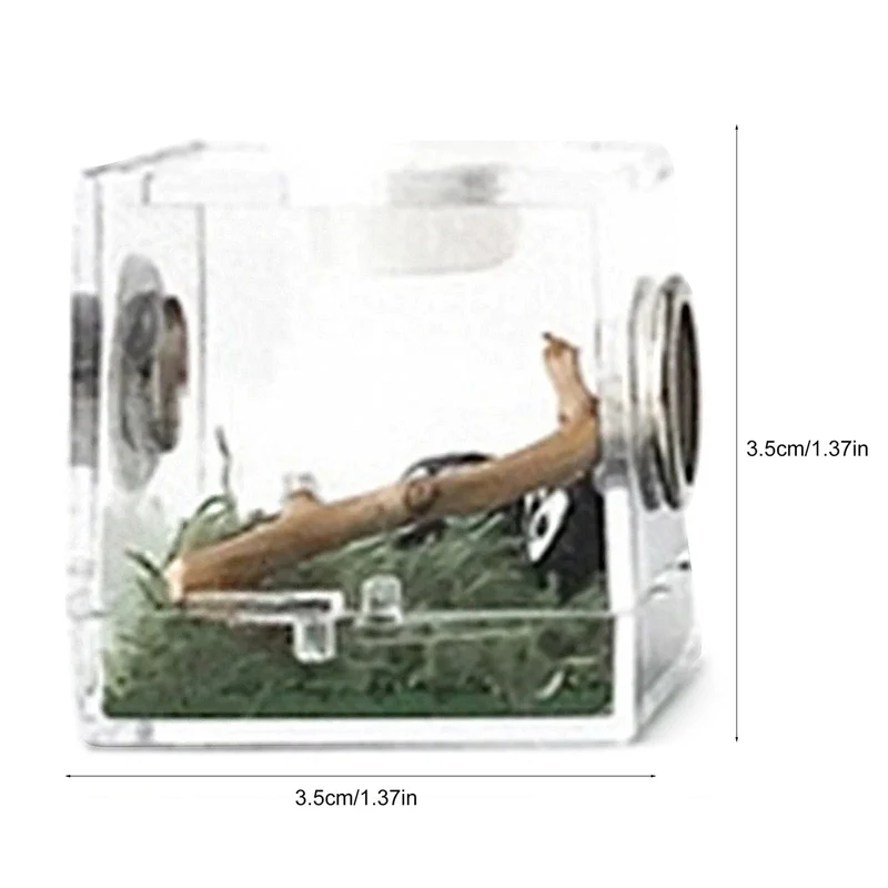 Kleine Reptilienzuchtbox, transparenter Acrylkäfig, Lebensraum, Insektenfutterbox, Terrarium, Tank, ausbruchsicher, für springende Spinne