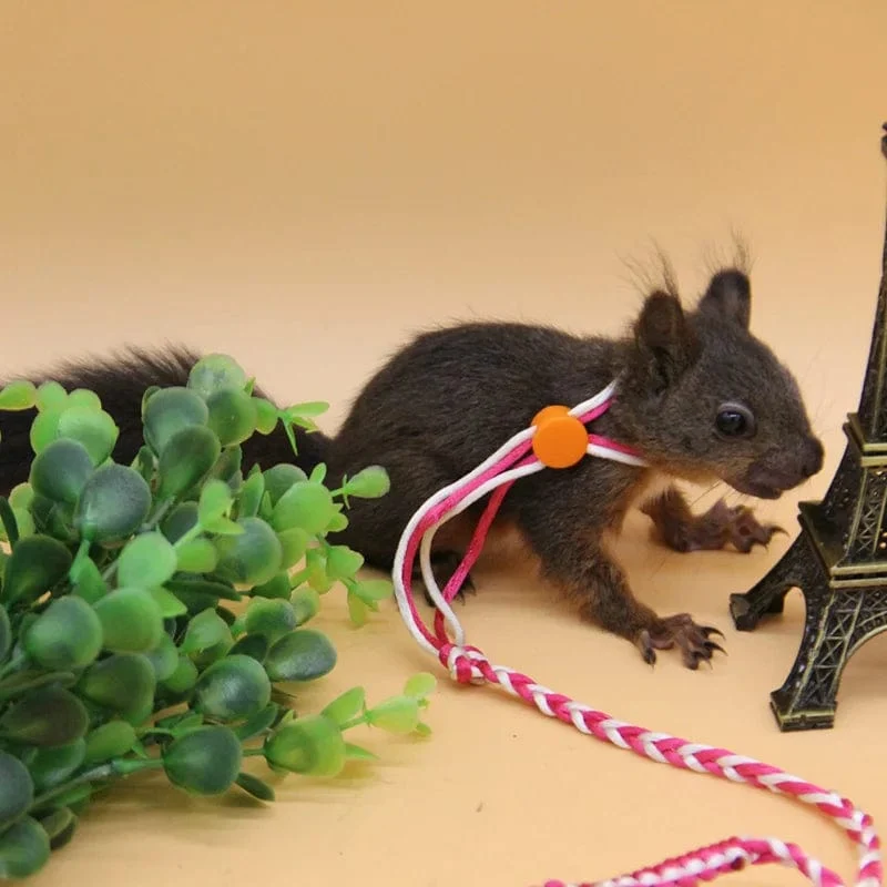 1.4 m 2.0 m verstellbares Haustier-Hamster-Leine-Geschirr-Seil-Rennmaus-Baumwollseil-Geschirr-Bleihalsband für Ratten-Maus-Hamster-Haustierkäfig-Leine