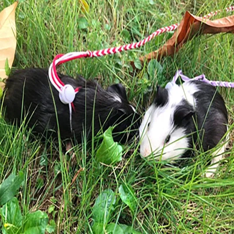 1.4 m 2.0 m verstellbares Haustier-Hamster-Leine-Geschirr-Seil-Rennmaus-Baumwollseil-Geschirr-Bleihalsband für Ratten-Maus-Hamster-Haustierkäfig-Leine