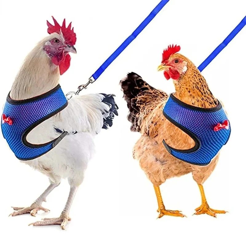 Haustier Ente Huhn Geflügel Huhn Kleidung Huhn Weste Henne Gürtel Haustier Geschirr Passende Halsbänder Bogen Geflügel Lieferungen