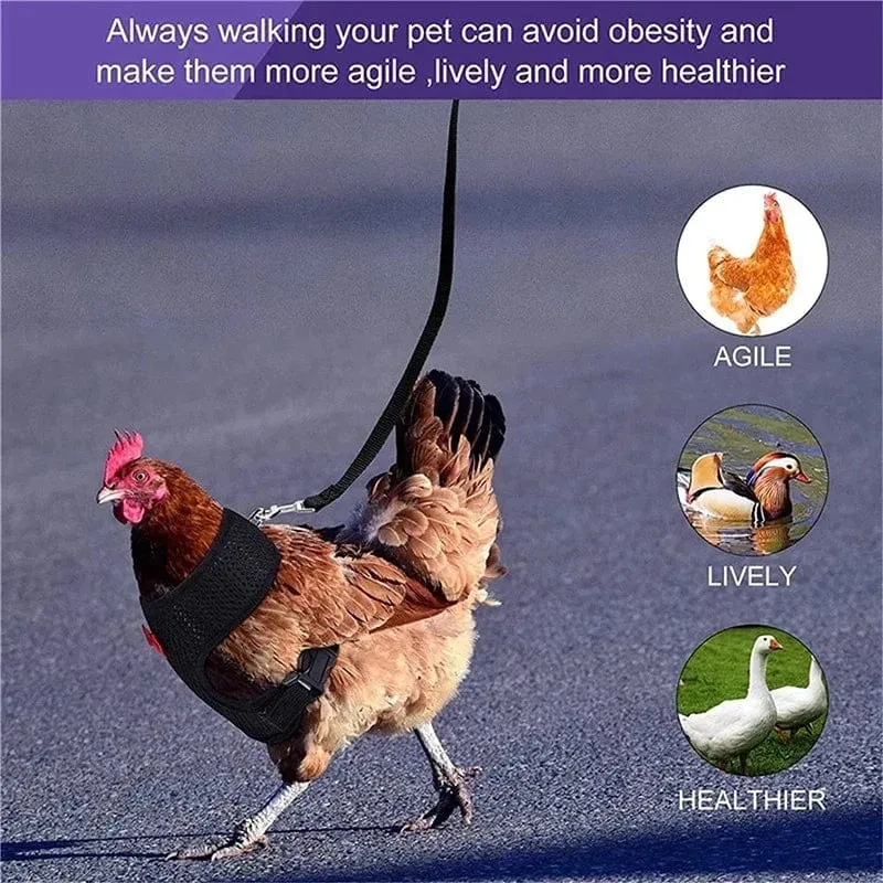 Haustier Ente Huhn Geflügel Huhn Kleidung Huhn Weste Henne Gürtel Haustier Geschirr Passende Halsbänder Bogen Geflügel Lieferungen