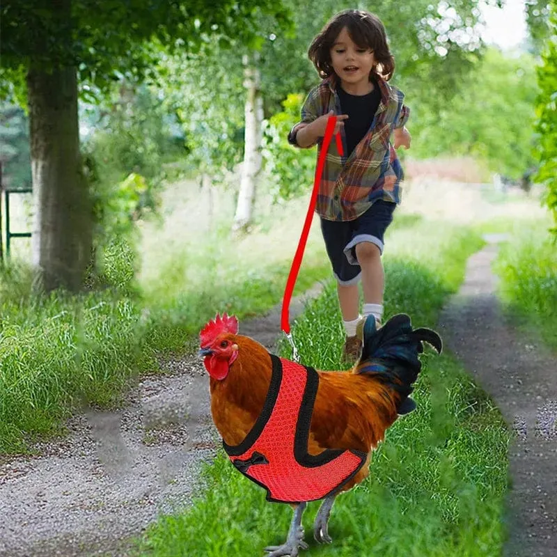 Haustier Ente Huhn Geflügel Huhn Kleidung Huhn Weste Henne Gürtel Haustier Geschirr Passende Halsbänder Bogen Geflügel Lieferungen