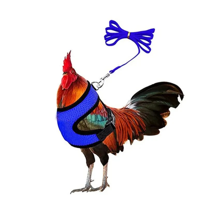 Haustier Ente Huhn Geflügel Huhn Kleidung Huhn Weste Henne Gürtel Haustier Geschirr Passende Halsbänder Bogen Geflügel Lieferungen