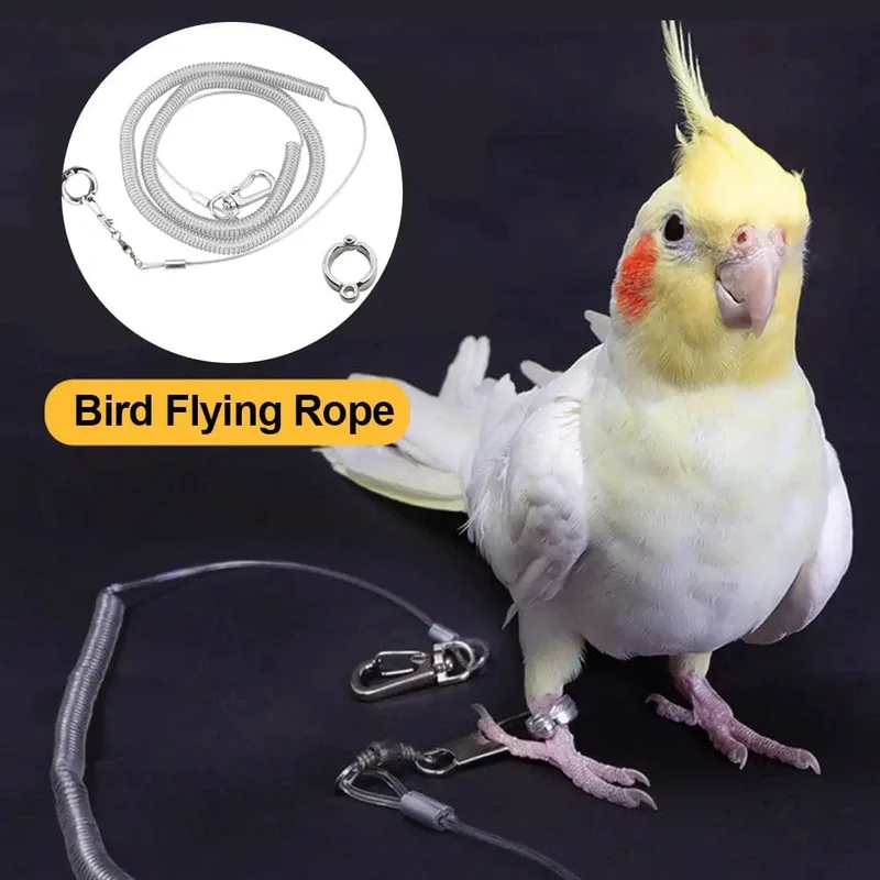 3M/6M Papageien-Vogel-Fliegen-Trainingsleine, ultraleichtes, flexibles Seil, Anti-Biss mit Beinring-Geschirr, Vogel-Trainingsseil im Freien