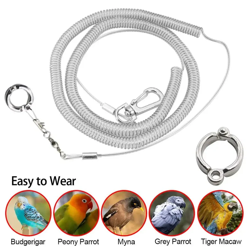 3M/6M Papageien-Vogel-Fliegen-Trainingsleine, ultraleichtes, flexibles Seil, Anti-Biss mit Beinring-Geschirr, Vogel-Trainingsseil im Freien