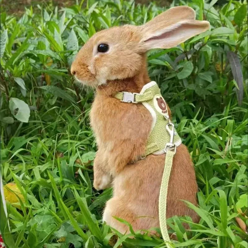Neuestes süßes Kaninchengeschirr und Leine-Set, Hasen-Haustierzubehör, Weste, Geschirre, Kaninchenleinen für Outdoor-Spaziergänge, Haustierbedarf