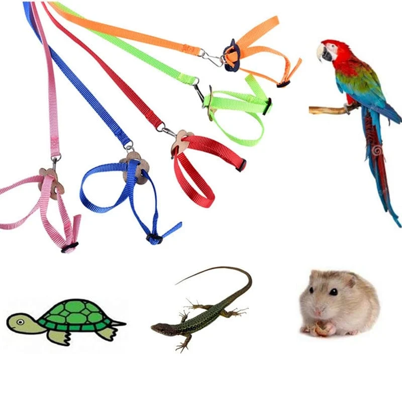 Papagei, Vogel, Hamster, Schildkröte, Eidechse, Leine, Outdoor-Fliegen-Traktionsgurte, verstellbares Anti-Biss-Trainingsseil, Vogeltrainingszubehör