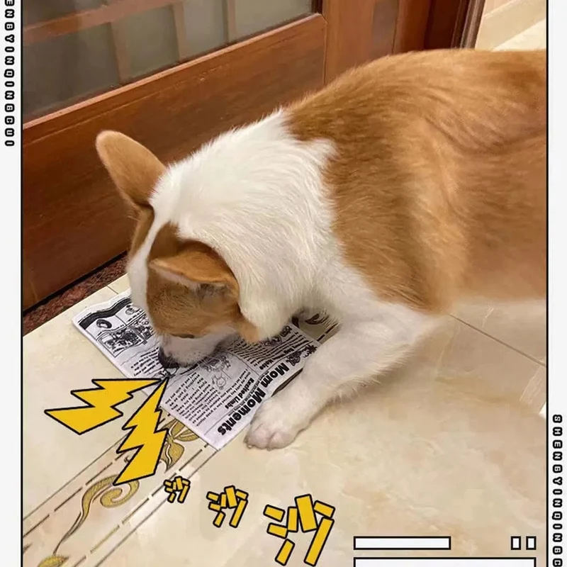 1 Stück reißfestes Haustier-Hunde-Sound-Spielzeug, simuliertes Quietschen, Zeitung, Spielkarte, KQJ, zahnbeständig, Corgi, Teddy, Welpe, interaktiv