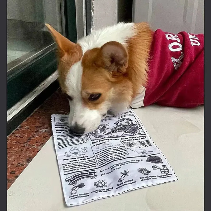 1 Stück reißfestes Haustier-Hunde-Sound-Spielzeug, simuliertes Quietschen, Zeitung, Spielkarte, KQJ, zahnbeständig, Corgi, Teddy, Welpe, interaktiv