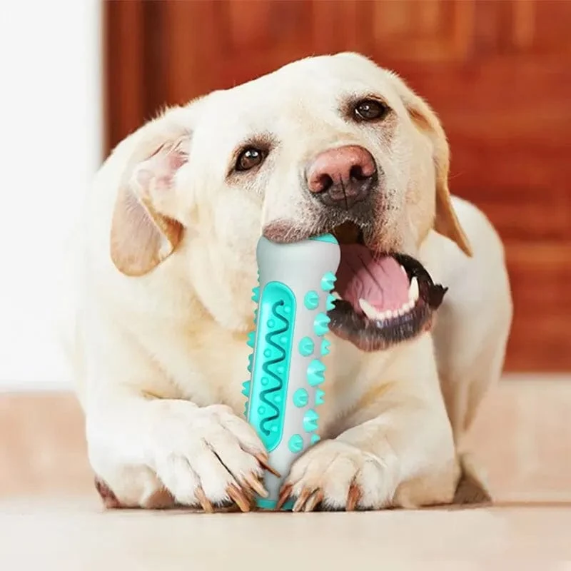 Hund Spielzeug Zahnen Stick Kaubare Zähne Reinigung Knochen Hund Zahnbürste TPR Sicher Welpen Zahnpflege Reinigung Spielzeug Liefert