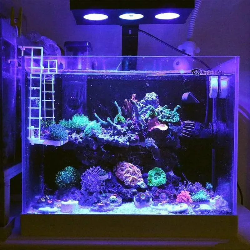 Spectra Nano M029 Aquariumlicht 30 W/40 W Salzwasserbeleuchtung mit Touch-Steuerung für Korallenriff-Aquarien
