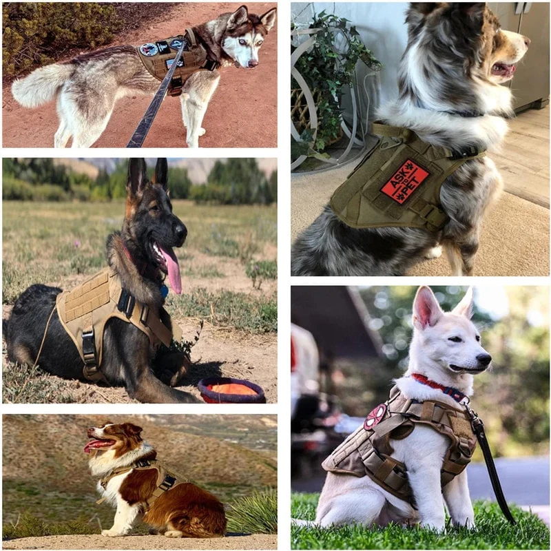 Militär Großes Hundegeschirr Haustier Deutscher Schäferhund K9 Malinois Trainingsweste Taktisches Hundegeschirr und Leine Set für Hunde Zubehör