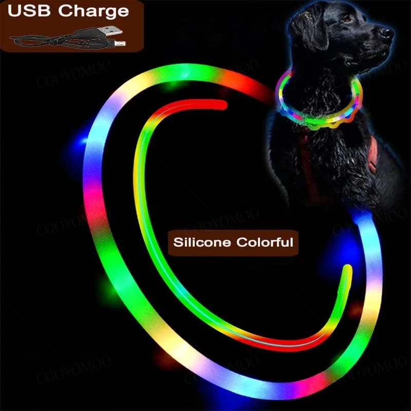 3 Modi Hunde-Luminou-Ladehalsband mit LED-USB, Katzen-Silikon, buntes Halsband, abnehmbares Nachtleuchten, Haustier-Verlustprävention, Hundezubehör