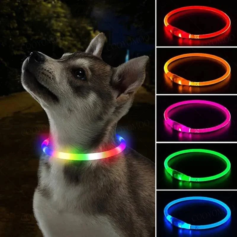 3 Modi Hunde-Luminou-Ladehalsband mit LED-USB, Katzen-Silikon, buntes Halsband, abnehmbares Nachtleuchten, Haustier-Verlustprävention, Hundezubehör