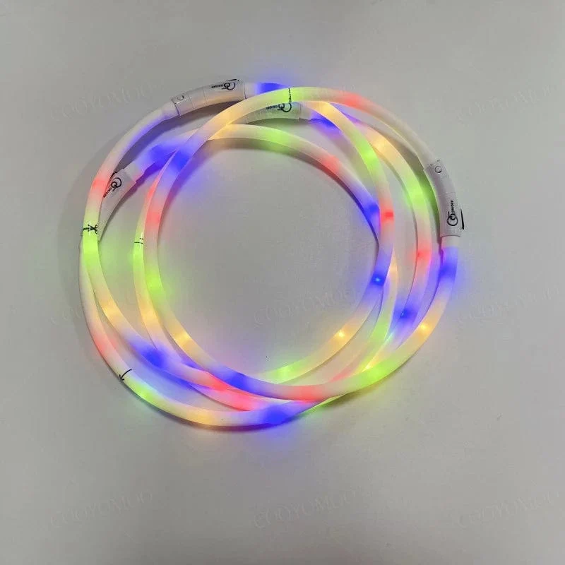 3 Modi Hunde-Luminou-Ladehalsband mit LED-USB, Katzen-Silikon, buntes Halsband, abnehmbares Nachtleuchten, Haustier-Verlustprävention, Hundezubehör