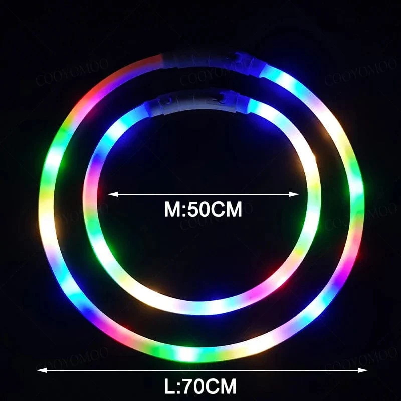 3 Modi Hunde-Luminou-Ladehalsband mit LED-USB, Katzen-Silikon, buntes Halsband, abnehmbares Nachtleuchten, Haustier-Verlustprävention, Hundezubehör