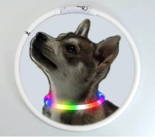 3 Modi Hunde-Luminou-Ladehalsband mit LED-USB, Katzen-Silikon, buntes Halsband, abnehmbares Nachtleuchten, Haustier-Verlustprävention, Hundezubehör
