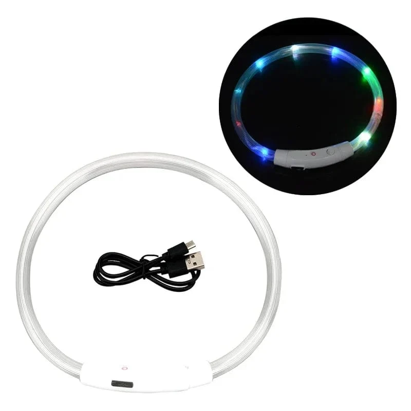 3 Modi Hunde-Luminou-Ladehalsband mit LED-USB, Katzen-Silikon, buntes Halsband, abnehmbares Nachtleuchten, Haustier-Verlustprävention, Hundezubehör