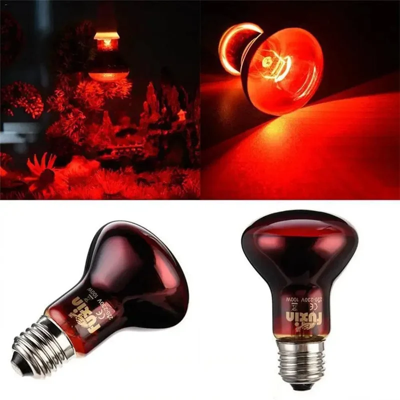 LED-Nachtlicht für Reptilien, rot, UVA-Infrarot-Wärmelampe für Schlangen, Eidechsen, Reptilien, 60 W, 75 W, 100 W