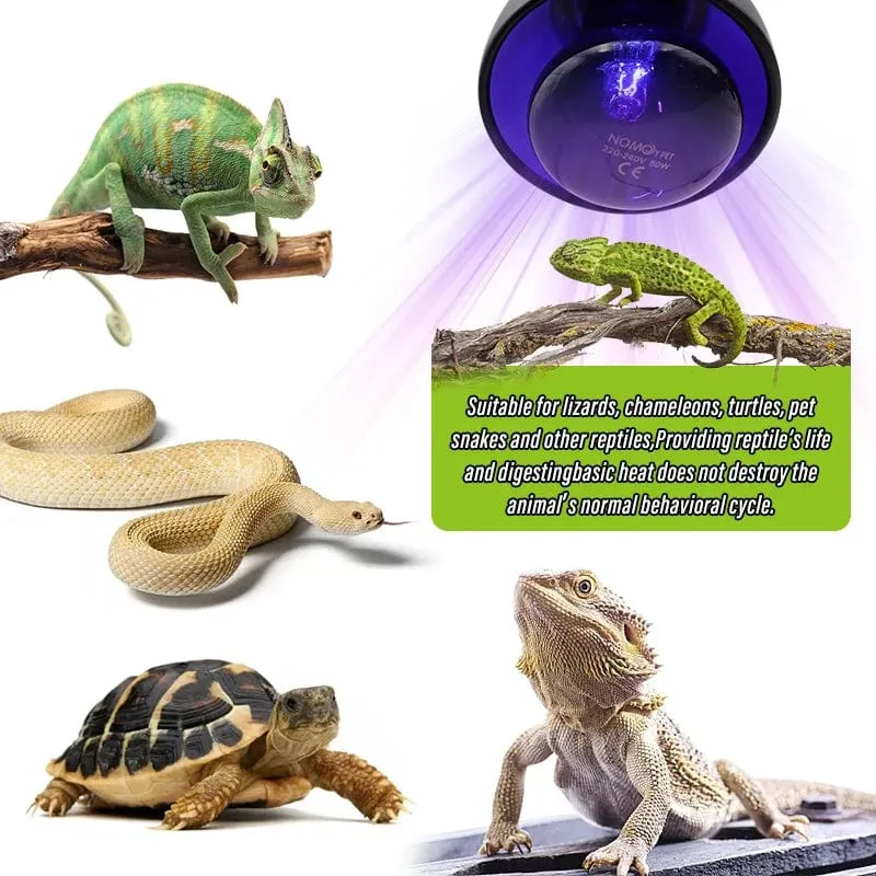 Haustier-Heizlampe E27 Nachtlampe für Amphibienschlangenlampe Wärme Reptilienbirne UV-Licht 25W 50W 75W 100W AC220-240V