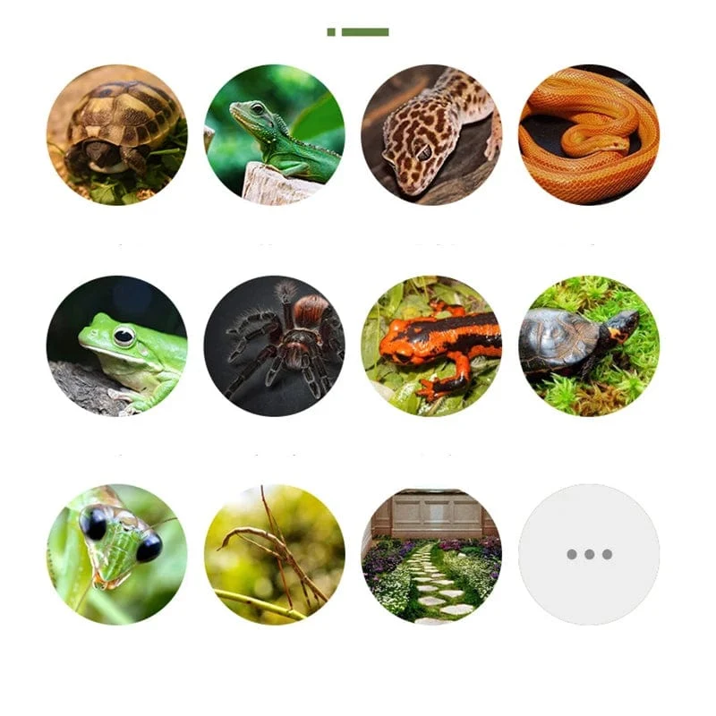Verdicken Sie Doppelschicht-Reptilien-Haustier-Moos-Teppich-Kissenmaterial-Frosch-Schildkröten-Schlangen-Eidechsen-Matten, feuchtigkeitsspendender gefälschter Rasen