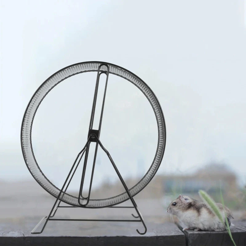 Rad Hamster Übung Laufen Kleine Silent Chinchilla Largehedgehog Guinea Ratgerbil Metall Pet Quiet S Tier