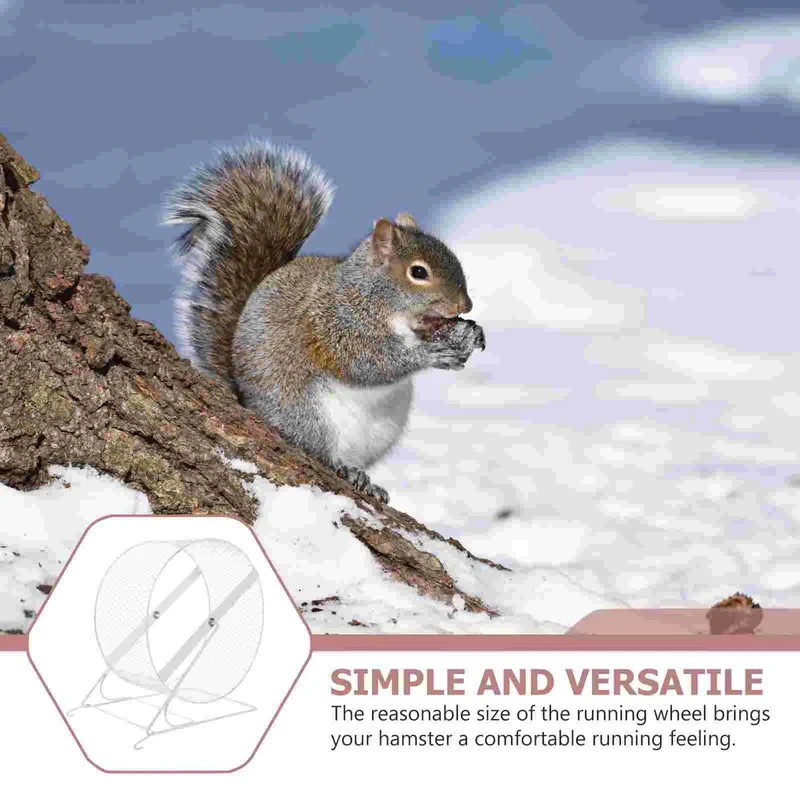 Laufrad für Hamster, Laufen, lautlos, Rennmaus, große Rolle, kleine Ratte, Metall, Zwergigel, Chinchilla, leiser Läufer – zufällige Gitter