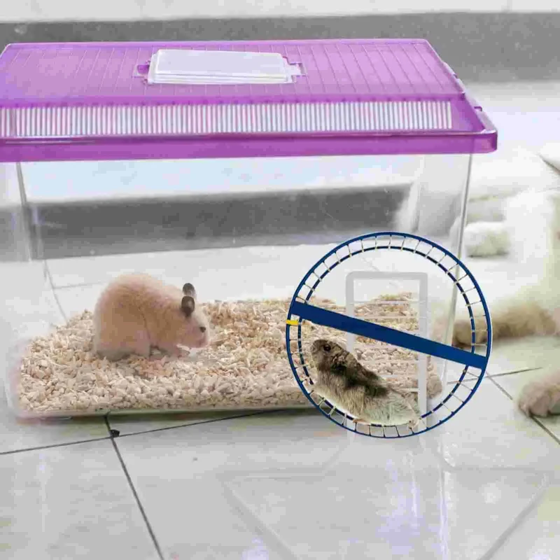 Metallhalterungen Laufradunterstützung Hamster Syrische Übung Weißer Eisenständer für kleine Haustiere