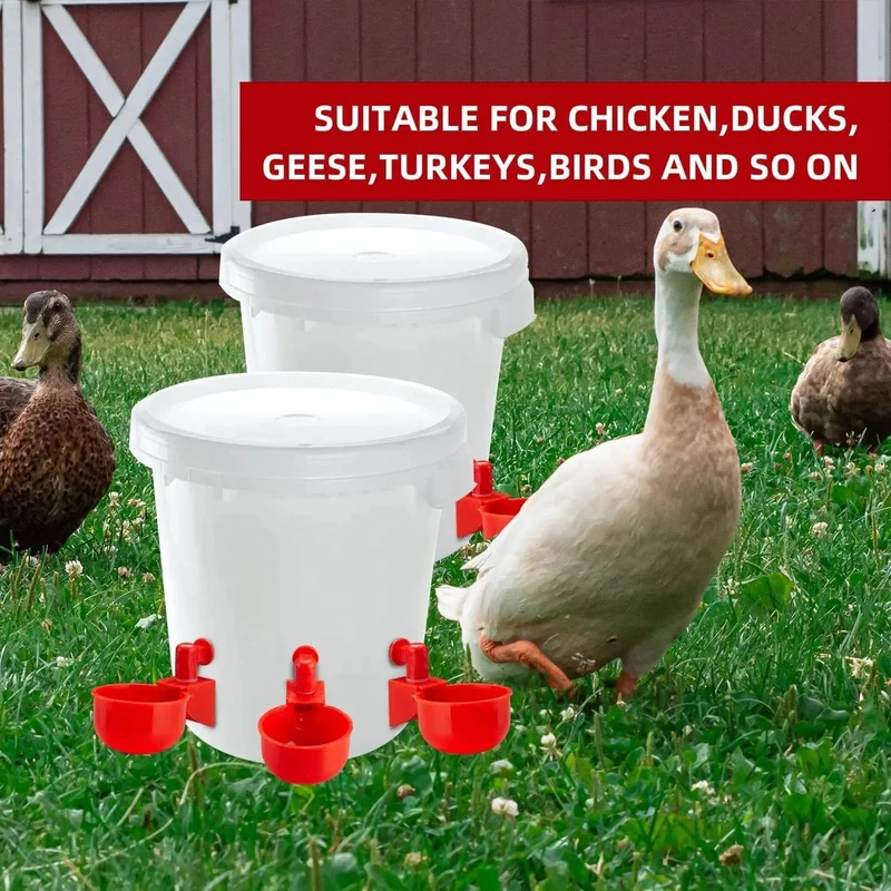 Hühnertränke, automatischer Tränker, Hühnerfutterspender, Kunststoff, Geflügeltränke, Trinkwasser-Futterspender für Küken, Enten, Gänse, Wachteln