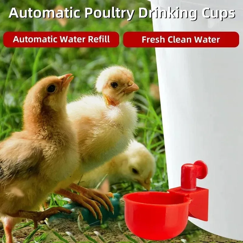 Hühnertränke, automatischer Tränker, Hühnerfutterspender, Kunststoff, Geflügeltränke, Trinkwasser-Futterspender für Küken, Enten, Gänse, Wachteln