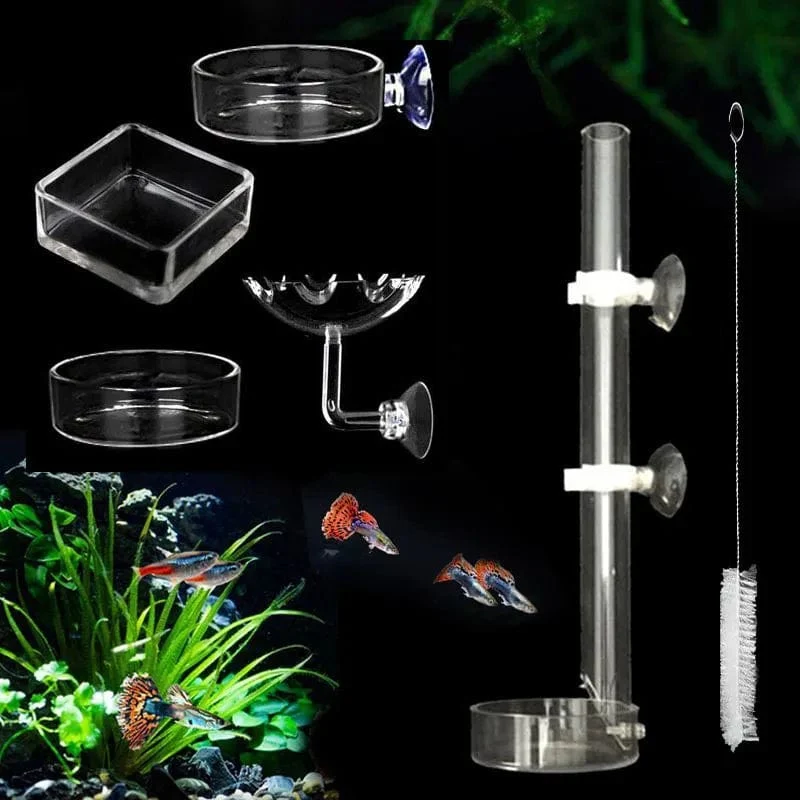 Acryl Aquarium Feeder Tube Dish Transparent Aquarium Garnelen Schnecke Garnelen Lebensmittel Fütterung Schüssel Aquarium Fütterung Zubehör