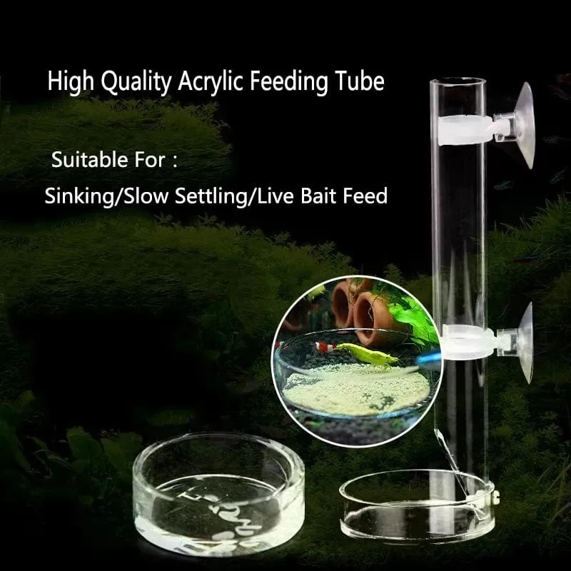 Acryl Aquarium Feeder Tube Dish Transparent Aquarium Garnelen Schnecke Garnelen Lebensmittel Fütterung Schüssel Aquarium Fütterung Zubehör