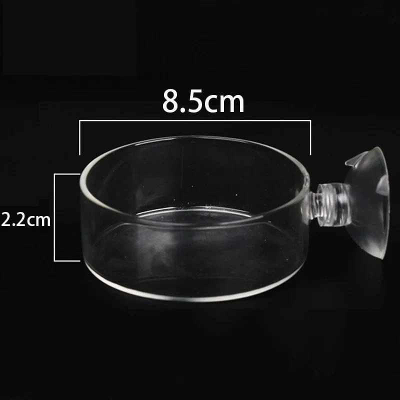 Acryl Aquarium Feeder Tube Dish Transparent Aquarium Garnelen Schnecke Garnelen Lebensmittel Fütterung Schüssel Aquarium Fütterung Zubehör