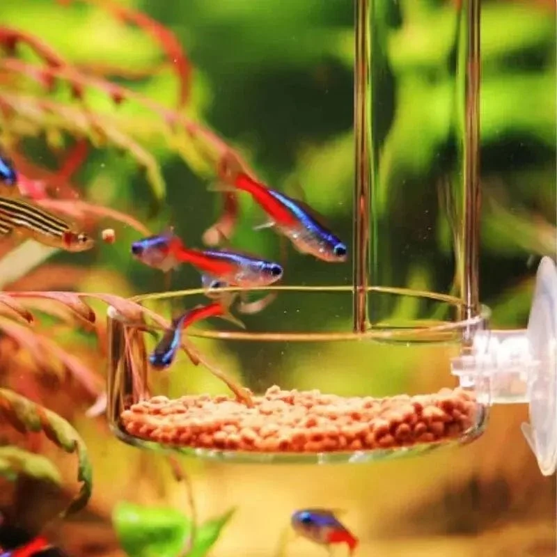 Verdicktes Glas Aquarium Feeder Tube Dish Transparent Aquarium Garnelen Schnecke Food Feeder Bowl Aquarium Fisch Fütterung Zubehör